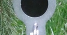 Disk 35 55 4 N